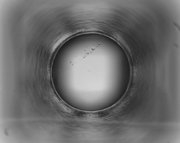 X0000100400789200806131012
