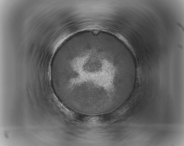 X0000100400791200806131012