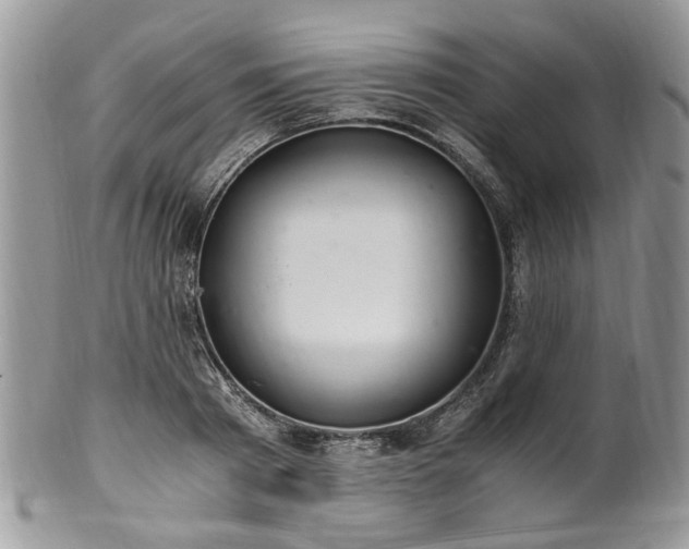 X0000100400793200806131012