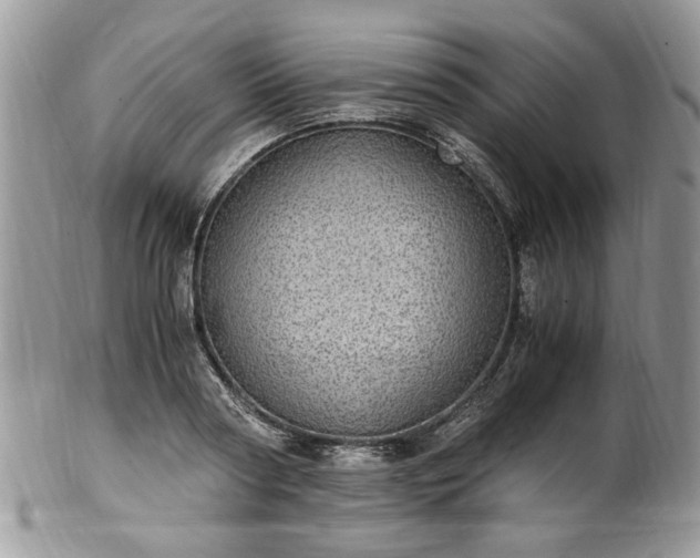 X0000100400794200806131012