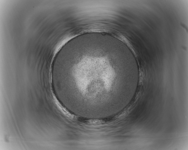 X0000100400795200806131012