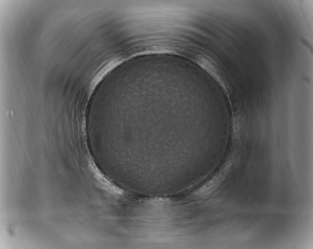 X0000100400797200806131012