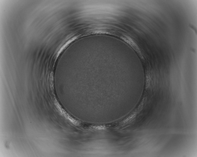 X0000100400798200806131012
