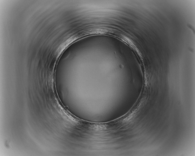 X0000100400802200806131012