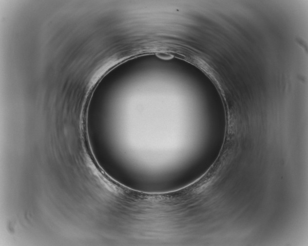 X0000100400803200806131012