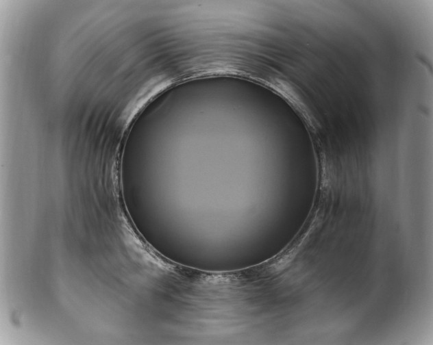 X0000100400806200806131012
