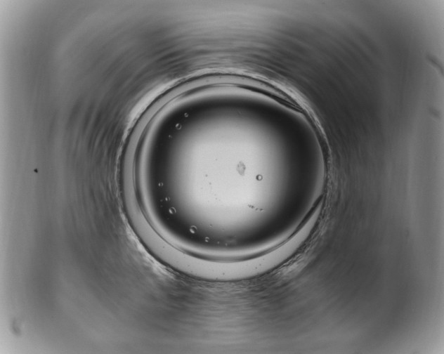 X0000100400807200806131012