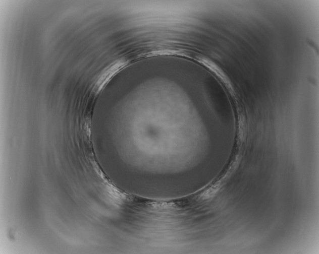 X0000100400809200806131012