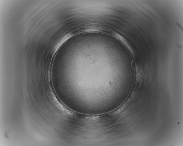 X0000100400810200806131012