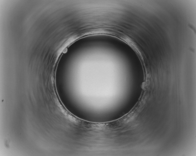 X0000100400813200806131012