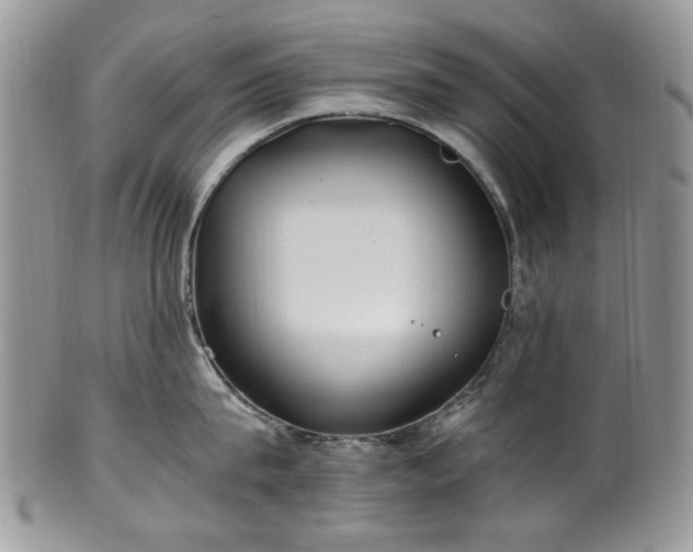 X0000100400815200806131012