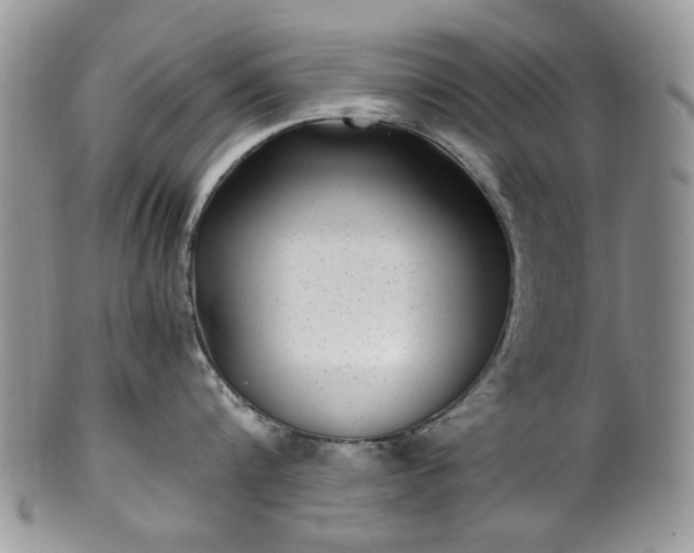 X0000100400816200806131012