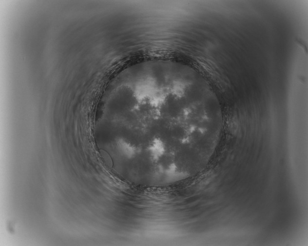 X0000100400817200806131011