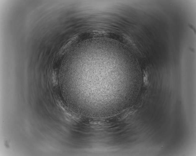 X0000100400819200806131011