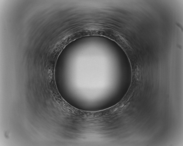 X0000100400821200806131011