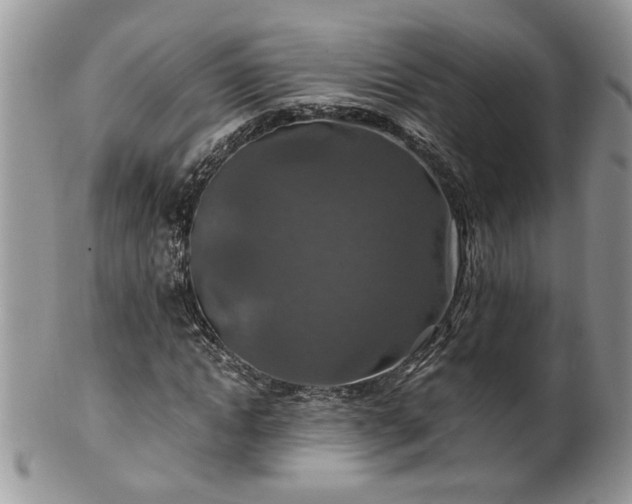 X0000100400822200806131011