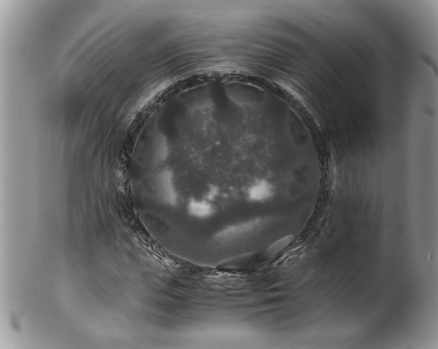 X0000100400823200806131011