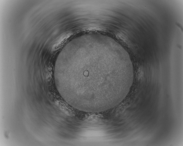 X0000100400824200806131011