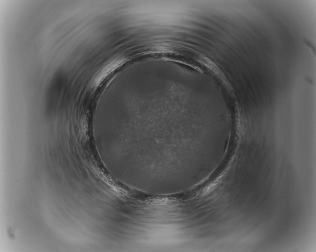 X0000100400826200806131012