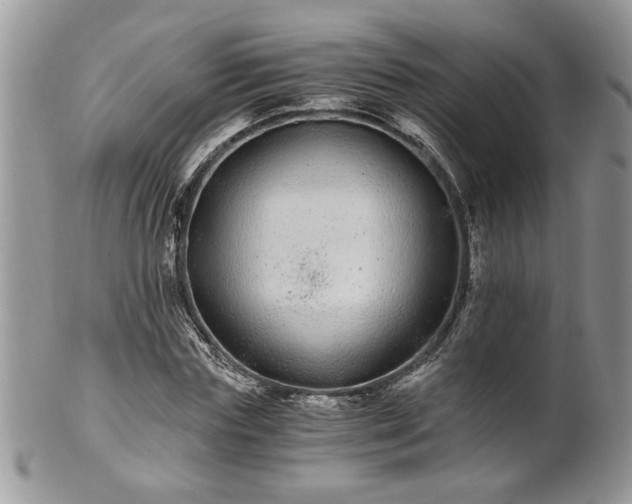 X0000100400827200806131012