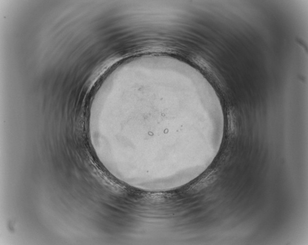 X0000100400828200806131012