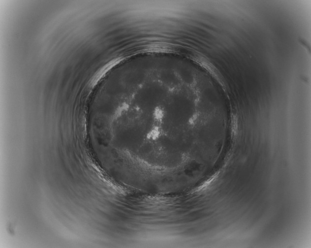 X0000100400829200806131012