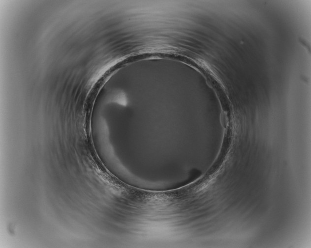 X0000100400830200806131012