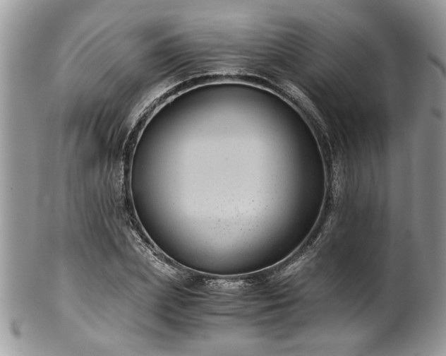 X0000100400831200806131012