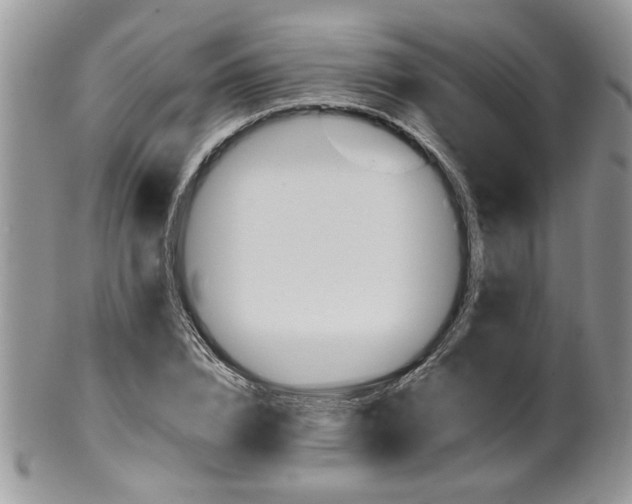 X0000100400832200806131012