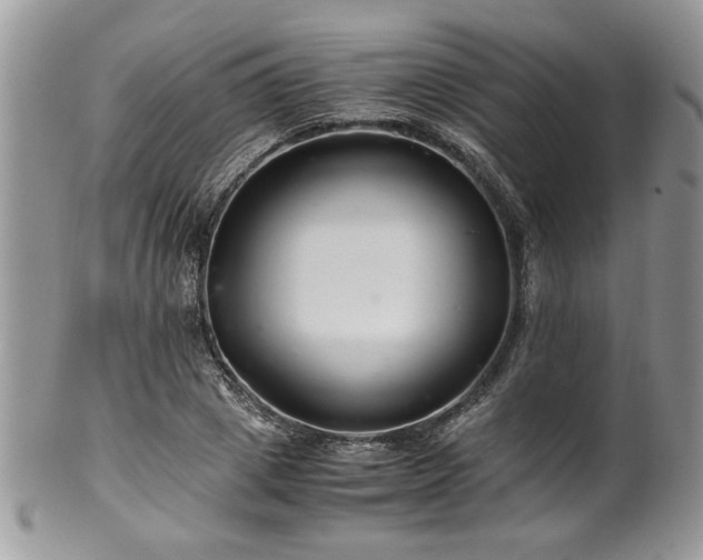 X0000100400833200806131012