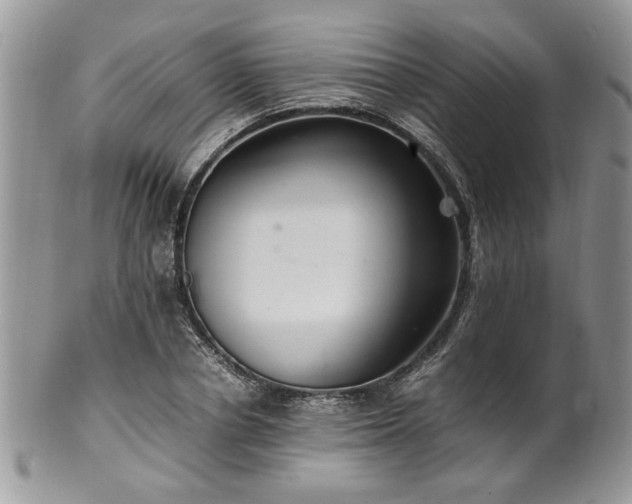 X0000100400834200806131012