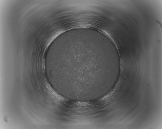 X0000100400835200806131012