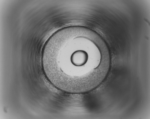 X0000100400836200806131012