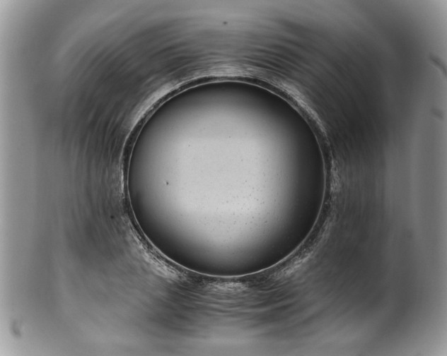 X0000100400837200806131012