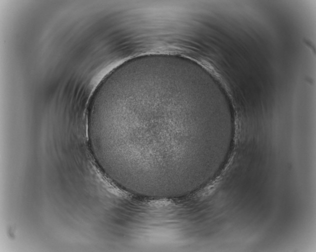 X0000100400838200806131012