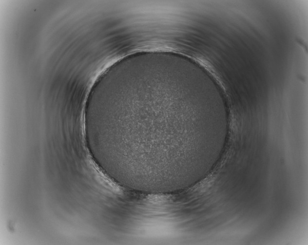 X0000100400840200806131012
