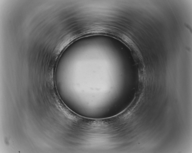 X0000100400842200806131012