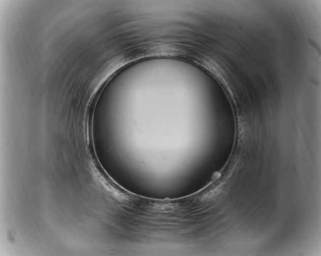 X0000100400843200806131012