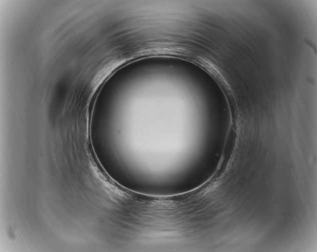 X0000100400844200806131012