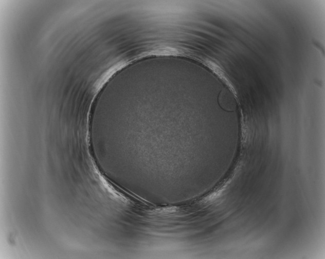 X0000100400845200806131012