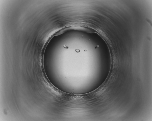 X0000100400846200806131012