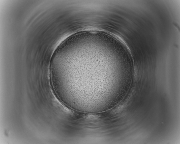 X0000100400847200806131012