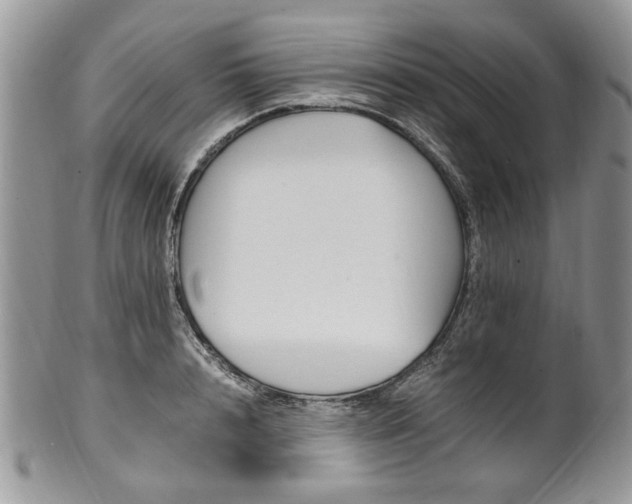 X0000100400848200806131012