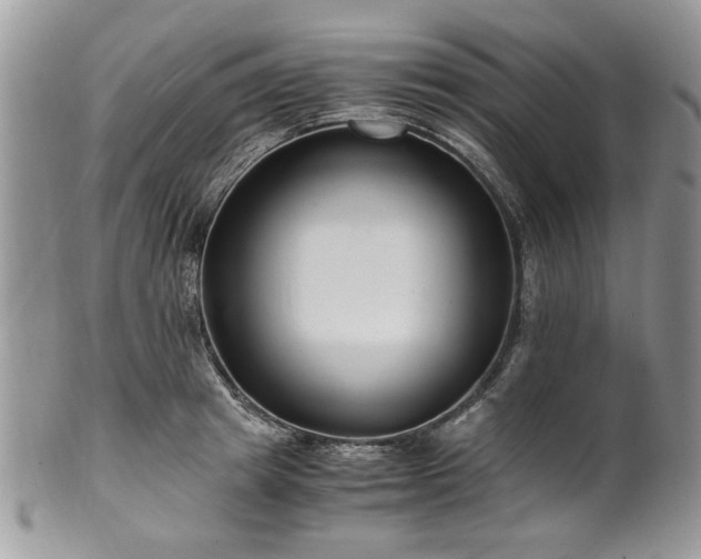 X0000100400849200806131012