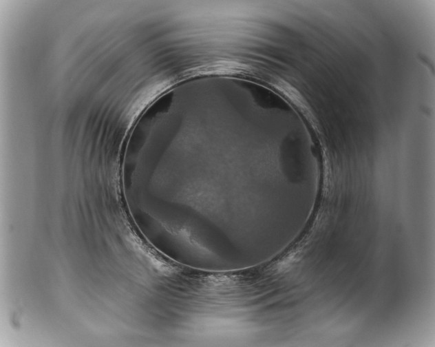 X0000100400850200806131012