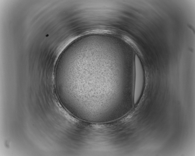 X0000100400852200806131012