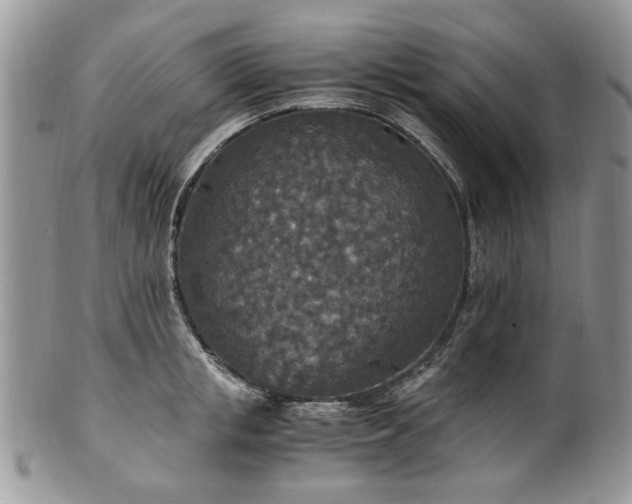 X0000100400853200806131012