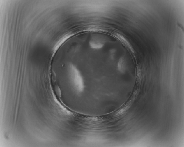 X0000100400855200806131012