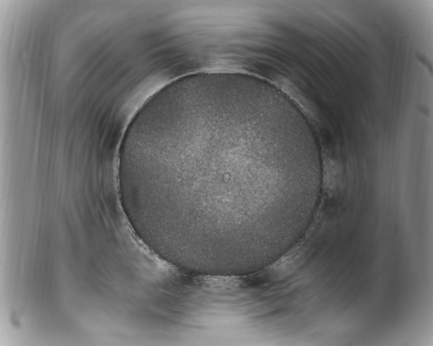 X0000100400856200806131012