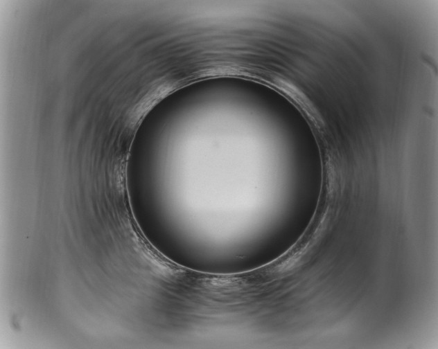 X0000100400857200806131012